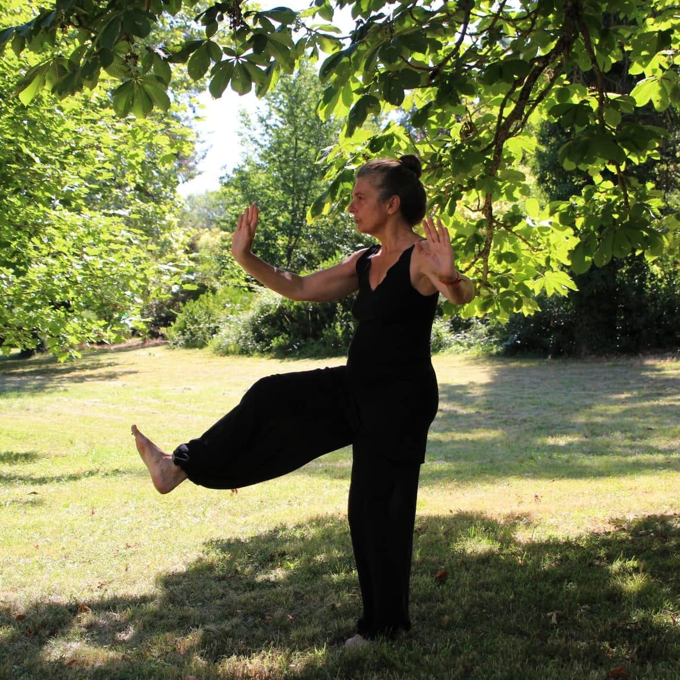T'ai Chi and Chi Kung Exercises - autumn