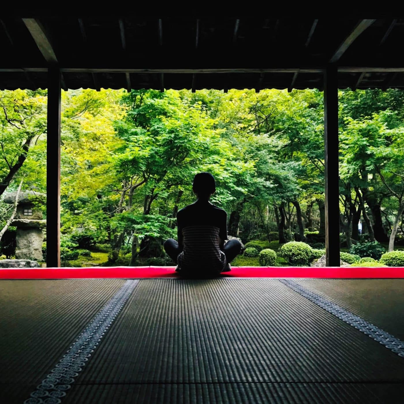 T'ai Chi 10 Step Form - autumn